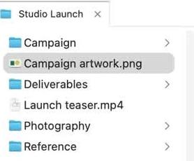 Left pane with Studio Launch project files