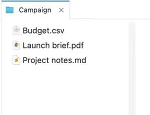 Right pane with Campaign files